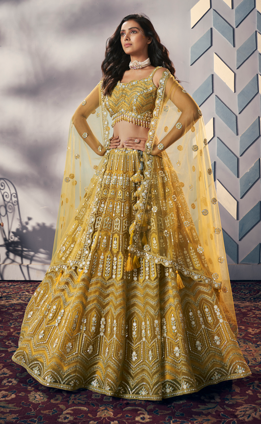 Embroidered Lehenga Choli