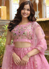 Pink Embroidered Soft Net Lehenga Choli with Zari & Resham Work
